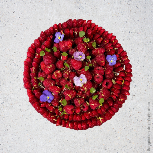 TARTE INFINIMENT FRAMBOISE