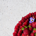 Charlotte framboise